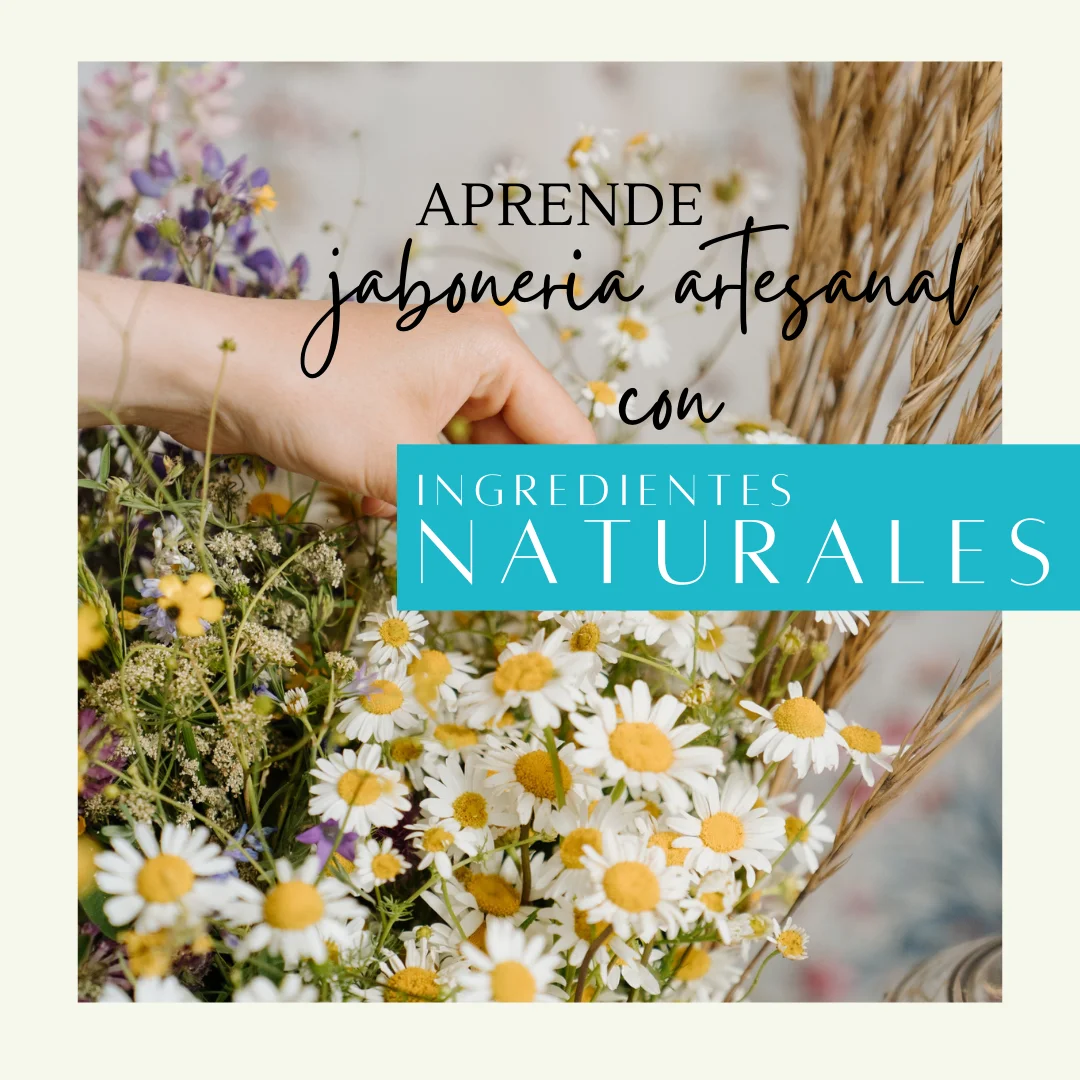 Imagen ingredientes naturales